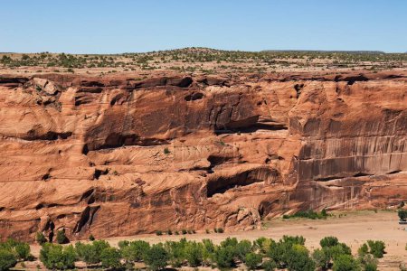 Téléchargez les photos : Logements Cliff, Canyon de Chelle, Arizona. Les arbres verts sont sur le sol du mesa et du canyon. - en image libre de droit