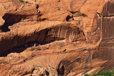 Téléchargez les photos : Logements Cliff, Canyon de Chelle, Arizona. Arbres verts sur le sol du canyon. - en image libre de droit