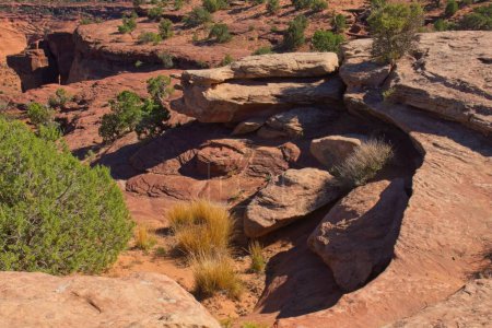 Téléchargez les photos : Canyon de Chelle, Arizona avec d'étranges formations rocheuses et des genévriers. - en image libre de droit