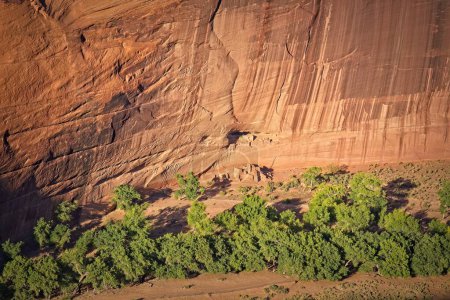 Téléchargez les photos : Ruines de la Maison Blanche, et autres ruines, au Canyon de Chelle, Arizona. Des arbres verts couvrent le sol du canyon. - en image libre de droit