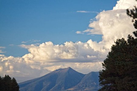 Téléchargez les photos : Montagnes aux nuages blancs dans un ciel bleu avec un pin au premier plan. - en image libre de droit