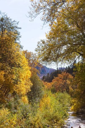 Téléchargez les photos : Oak Creek avec des gens et des arbres verts et jaunes sur la rive. Canyon Oak Creek, Sedona, Arizona. - en image libre de droit