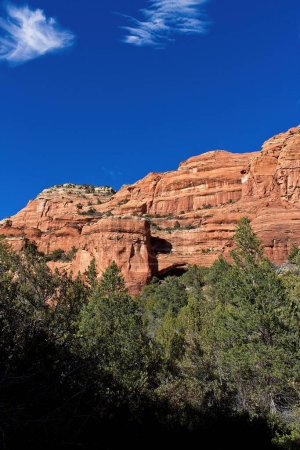 Téléchargez les photos : Fay Canyon, dans les Rochers Rouges de Sedona, Arizona. Genévrier vert poussent au premier plan. - en image libre de droit
