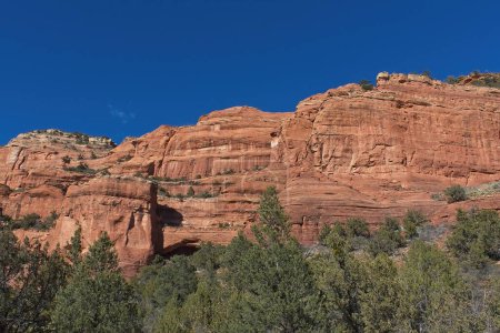 Téléchargez les photos : Fay Canyon, dans les Rochers Rouges de Sedona, Arizona. Genévrier vert poussent au premier plan. - en image libre de droit