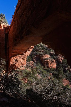 Téléchargez les photos : Gros plan de Fay Canyon Arch, dans les Rochers Rouges de Sedona, Arizona. Genévrier vert poussent au premier plan. - en image libre de droit