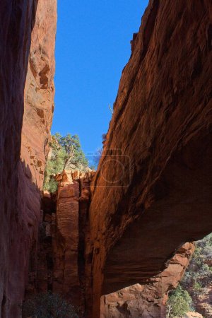 Téléchargez les photos : A l'intérieur de Fay Canyon Arch, dans les Rochers Rouges de Sedona, Arizona. Genévrier vert poussent au-dessus. - en image libre de droit