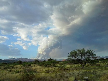 Téléchargez les photos : Fumée provenant de l'incendie de la glissière près de Sedona, Arizona. - en image libre de droit