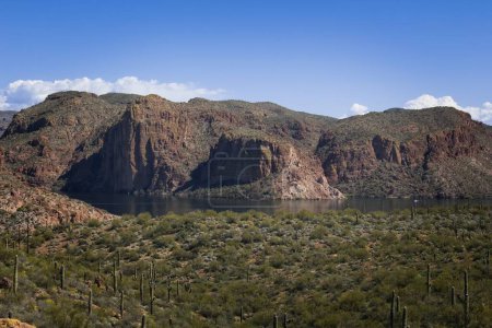 Téléchargez les photos : Lac Canyon et montagne rocheuse déchiquetée près de la petite ville de Tortilla Flats, Arizona. - en image libre de droit