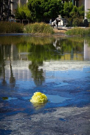 Foto de Gas en erupción del estanque La Brea Tar Pit Pond, La Brea Tar Pits, Los Ángeles, California. - Imagen libre de derechos