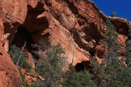 Téléchargez les photos : En regardant l'arche du col du soldat dans les rochers rouges de Sedona, Arizona. - en image libre de droit