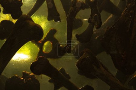 Foto de Prehistoric bones floating in a block of resin at the La Brea Tar Pits, Los Angeles, California - Imagen libre de derechos