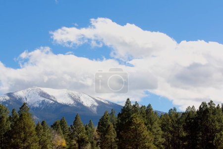 Téléchargez les photos : Mt. Humphreys en hiver avec de la neige sur le dessus et une pinède en arrière-plan, Flagstaff, Arizona. - en image libre de droit