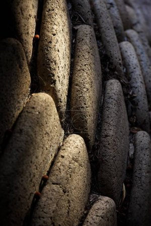 Téléchargez les photos : Mur en pierre avec lumière délicate, Los Angeles, Californie. - en image libre de droit