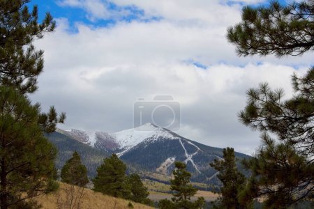 Téléchargez les photos : Mt. Humphreys en hiver, vue à travers une pinède, Flagstaff, Arizona - en image libre de droit