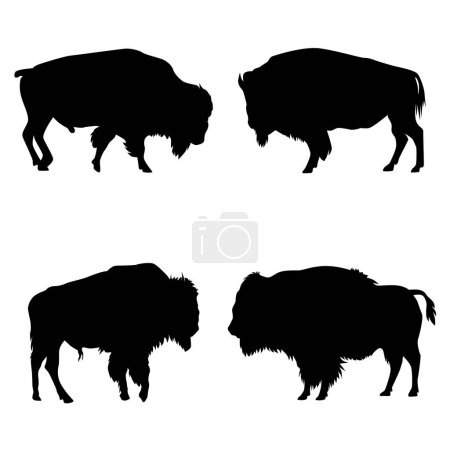 Téléchargez les illustrations : Ensemble de silhouettes de bisons d'Amérique vecteur sur fond blanc - en licence libre de droit