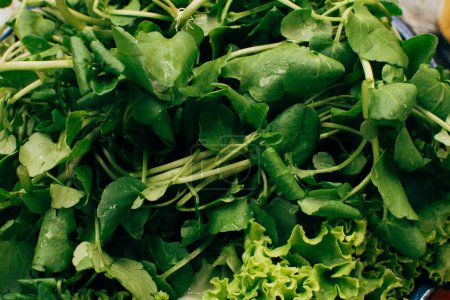 Foto de Primer plano de ensalada mixta de hojas verdes incluyendo lechuga y berro rúcula - Imagen libre de derechos