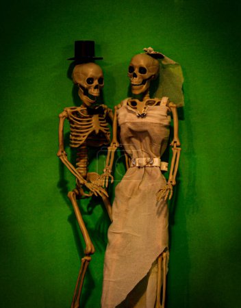 Téléchargez les photos : Ce couple squelette heureux mariés posent pour leur photo de mariage - en image libre de droit