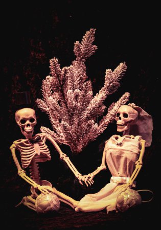 Téléchargez les photos : Squelette mariée et marié couple se préparant à décorer un arbre de Noël - en image libre de droit