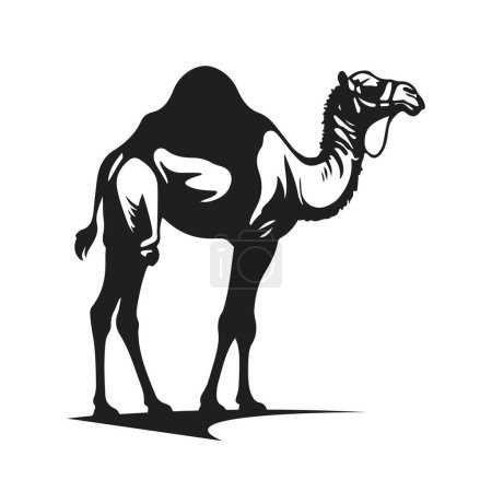 One-Humped Camel sketch art silhouette vector illustration