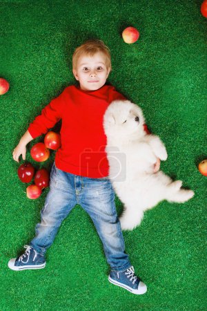 Foto de Sonriente niño de tres años acostado con cachorro blanco de Samoyed sobre hierba verde con manzanas rojas en el estudio - Imagen libre de derechos