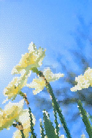 Téléchargez les photos : Vitrail, image de vitrage des jonquilles au printemps. Concept saisonnier, décoratif et floral - en image libre de droit