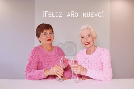 Foto de Dos mujeres maduras en suéteres rosados, bebiendo vino y celebrando - Imagen libre de derechos