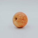 Withered and wrinkled apple, Isolated on a white background