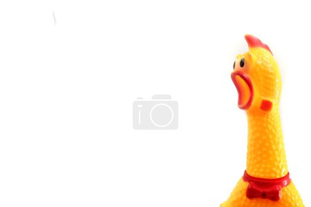 cute rubber chicken toy on white background