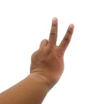 Victory or peace sign or number two hand sign. Isolated.