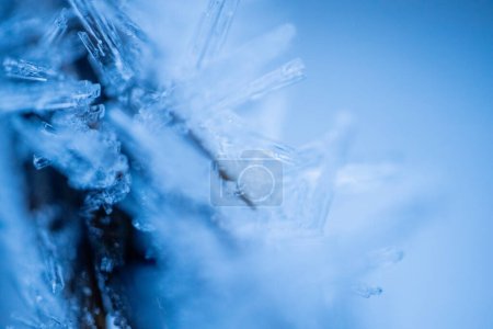 Eiskristalle auf Ästen. Eisnadeln auf einem Ast. Frostkristalle bedecken den Ast. Ein kristallisierter Ast. Schöne Wintermuster von Eiskristallen von Schneeflocken auf Tannennadeln auf einer Kleie