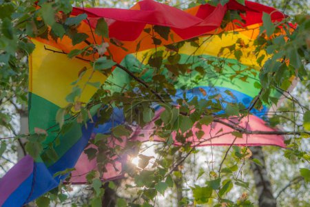 Foto de Una colorida bandera LGBT unida a las ramas de abedul ondea en el viento contra las frondosas ramas de árboles verdes. Un símbolo LGBT que expresa una visión cercana de los derechos humanos y la libertad. Enfoque selectivo suave. - Imagen libre de derechos