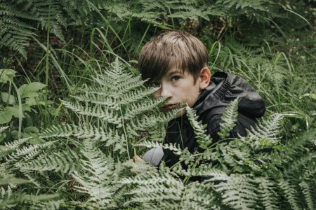 Téléchargez les photos : Le garçon se cachait dans la forêt. L'enfant s'est caché dans les fougères. Concentration sélective douce - en image libre de droit