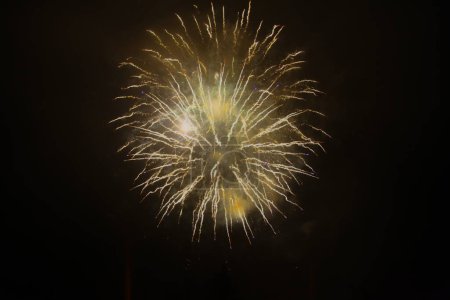 Téléchargez les photos : Feux d'artifice du Nouvel An dans le ciel. Feux d'artifice dans le ciel sombre - en image libre de droit