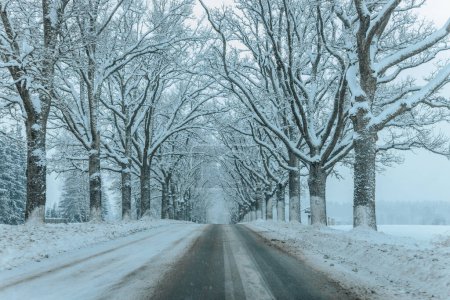 Ein winterlicher Weg durch einen kühlen Wald mit schneebedeckten Bäumen. Winterliche Straße durch verschneiten Wald, von Bäumen gesäumt und kalte Temperaturen.