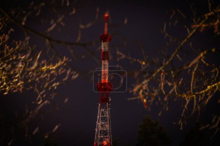 Photo for Radio and television tower in the dark behind the pines. Communication tower at night - Royalty Free Image