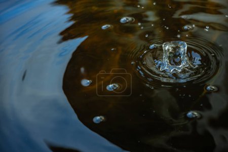 a water droplet creating ripples in dark water. The splash and concentric circles are captured in detail, highlighting the fluid dynamics and motion.