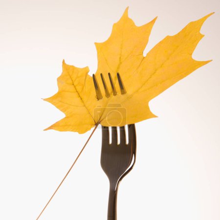 Photo for Maple leaf on fork. - Royalty Free Image