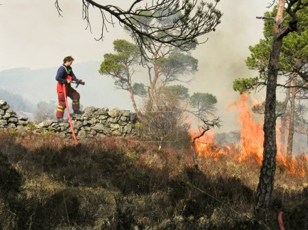 Foto de Bomberos en el trabajo, concepto de lucha contra incendios - Imagen libre de derechos