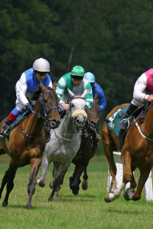 Photo for Men at horse racing - Royalty Free Image