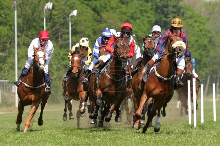 Téléchargez les photos : Hommes aux courses de chevaux - en image libre de droit