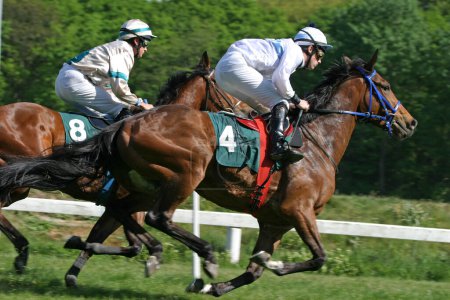 Foto de Hombres en carreras de caballos - Imagen libre de derechos