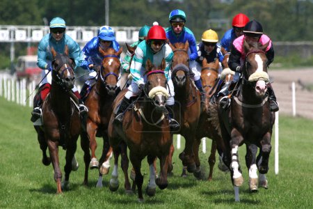 Foto de Carreras de caballos, evento deportivo - Imagen libre de derechos