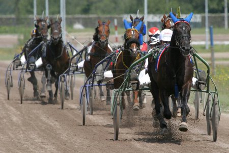 Standardbred horses and riders 