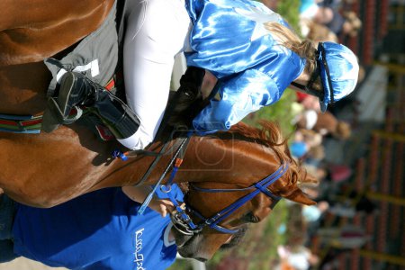 Téléchargez les photos : Course de chevaux en action - en image libre de droit