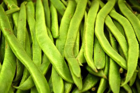 Téléchargez les photos : Green beans background. close up - en image libre de droit