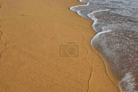 Téléchargez les photos : Vague de mer sur le rivage sablonneux - en image libre de droit