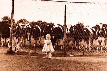 Téléchargez les photos : Petite fille à la ferme avec des vaches - en image libre de droit