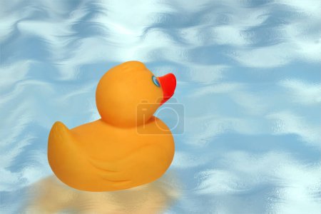 Photo for Rubber duck in the pool - Royalty Free Image