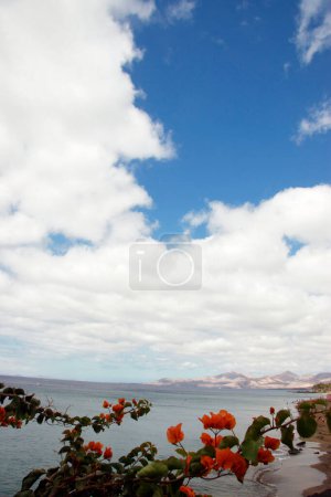 Photo for Tropical nature scenic view - Royalty Free Image