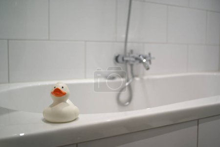 Photo for Duck waiting on the edge - Royalty Free Image
